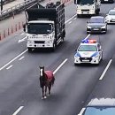 강변북로 이미지