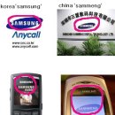 짝통 네이버블로그