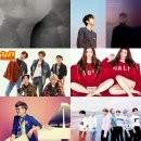 박 벌어진다 이미지