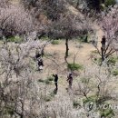 낙동강변20 이미지