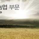 오.케이상사