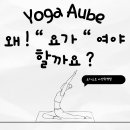 요가하는날