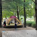 성동 서울숲 여름캠핑장 이미지