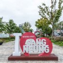 강릉꽃조화
