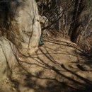 상사의숲 이미지