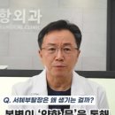 장앤항