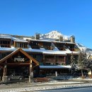 도로시모텔 | 폭스 호텔 앤 스위트 캐내디언 록키 핫스프링 캐나다 밴프 여행 가볼만한곳 칠리스 그릴 앤 바 솔직 후기