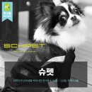슈펫 - 청주시 흥덕구 장구봉로29번길 28 | 슈펫