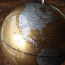 더 포레 동물병원 이미지