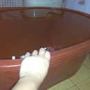 단수농장 이미지