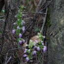 싹독싹독 이미지