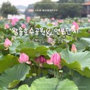 송*욱 - 안양시 동안구 달안로 78 | 의왕 왕송호수공원 후기 - 연꽃단지 산책 코스