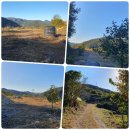 동면교차로 이미지