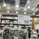 트레이더스 홀세일클럽 안성점 이미지