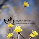 한마음교회 이미지