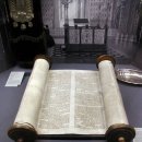 토라 - 포천시 포천로1585번길 28 | 토라