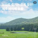 돌담할망보말톳칼국수 네이버블로그