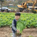 푸른농장2 이미지