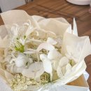 듀 포인트 | 대구 부케 대명동 꽃집 듀플레르 호접 부케 후기