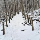 상촌면 물한계곡주차장 화장실 | 민주지산 등산 코스 로 삼도봉 정상 과 물한계곡 주차장 1편