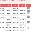 베라시떼클래식필라테스 네이버블로그
