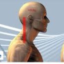 펠릭스짐 이미지