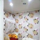 아이돌 스타 이미지