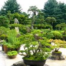 마음에고향 이미지