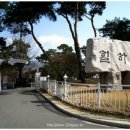 양평벚꽃하우스 이미지