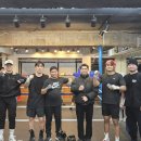 임팩트 복싱 매니지먼트 이미지