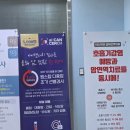 마그네슘 제제별 약리학적 특성 및 임상 적용 이미지