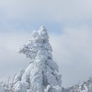 고운나라 이미지