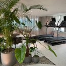 포레스트병원 이미지