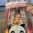 멍멍이 날다 | 강릉 아기랑 가볼만한 곳(경포호수공원,강릉쌍둥이동물농장)