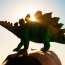 스테고사우루스-1 | 스테고사우루스 | 지붕 도마뱀의 수수께끼와 매력