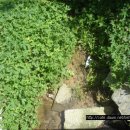 도화리농장 이미지