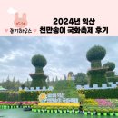 천만송이식품 | 2024년 익산 천만송이국화축제 후기(주차,사진스팟,핑크뮬리)