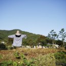 다정밥상 이미지