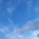 윤구희 | 한 편 회지 읽기] 초점 _&lt;담 너머로 본 다른 교과의 재미, 김민수 김안나 김영학 박찬정 홍경아&gt;, 윤구희