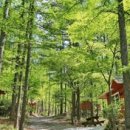 조령산자연휴양림 이미지