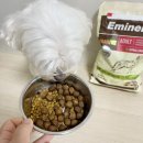 (주)에미넌트 이미지