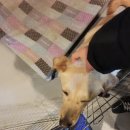 눈큰실내낚시터 이미지