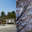 자라섬캠핑장 중도-1 이미지