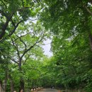 고창선운산풍천장어 | 남쪽 여행 순천 선암사 송광사 고창 선운산풍천장어