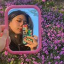 아이폰 케이스 핸드폰 스트랩 케이스티파이 MZ룩