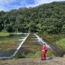 단월면사무소 이미지