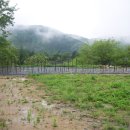 흑송농장 이미지