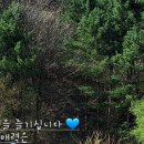 홍천도새울캠핑장 이미지