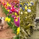 아이리더 안경 이미지