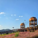 씨유 창녕남지유채점 | 경남 창녕 가볼만한곳 남지 억새전망대 핑크뮬리